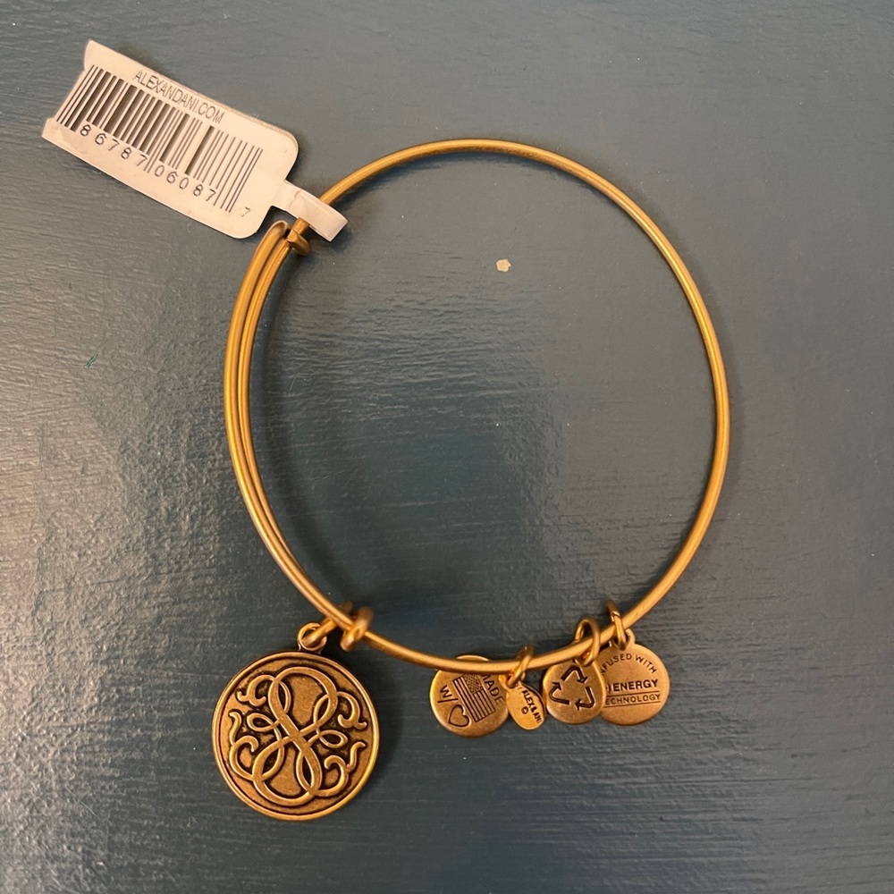 Alex and Ani Path of Life Charm Bracelet in Gold